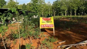 Tanah Di Sleman Cocok Untuk Cafe Dan Restoran
